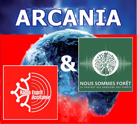 arcania_foret_titre.jpg (35 KB)