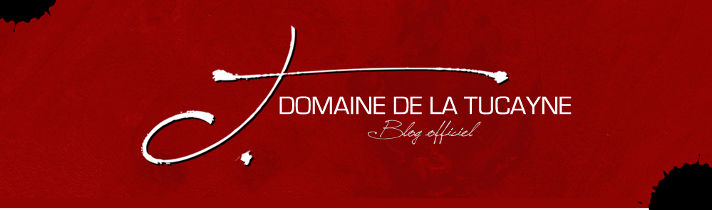 domaine de la tucayne wine designduvin.com graphisme le monde du vin.png (211 KB)